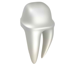 Microprothesis in dental